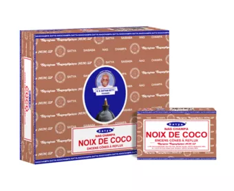 Cônes Backflow Satya Noix de Coco 12pcs