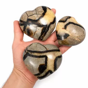 Lot de 3 Coeurs de Septaria  1000 Gr