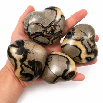 Lot de 4 Coeurs de Septaria  1080 Gr