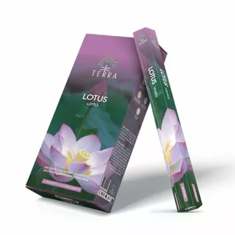 Encens Terra Lotus hexa sans charbon 30grs