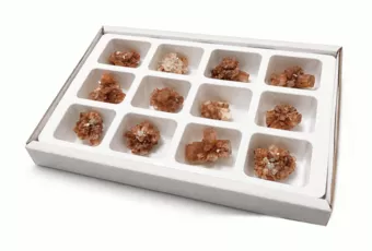 Présentoir de 12 Aragonites Brutes 3-4 cm