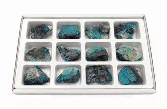 Présentoir 12 Pierres Brutes Chrysocolle-Malachite 3-4 cm