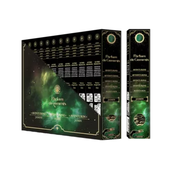 Encens Smudge Stick Parfum de Gemmes Jasmin & Aventurine 20g
