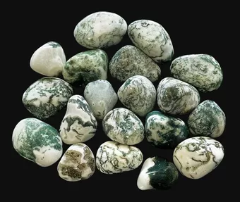 Agate Arbre AA Pierres Roulées 2-3cm 250g