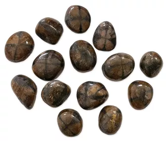 Chiastolite A Pierres Roulées 2-3cm 250g