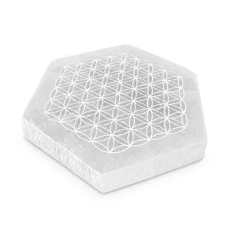 Plaque Hexagonale en Sélénite Fleur de Vie 11cm 125g