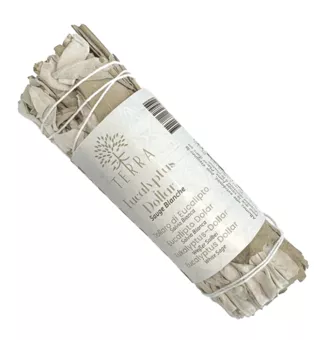 Sauge Blanche & Eucalyptus Dollar Fagot 25-30g 10cm