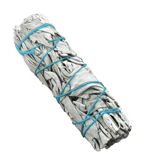 Sauge blanche Californie fagot sans étiquette 25-30g 10cm