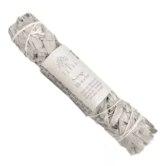 Sauge Blanche Californie fagot 90-100g 22cm