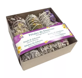 Set  Pétales de Douceurs & Sauge Blanche Fagot 25-30gr 10cm