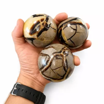 3 Sphères en Septaria poli 1.330kg