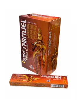 Encens Padmini Masala Spiritual Guide 15g