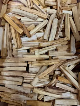 Palo santo  Pérou 1 kg en bâtonnets Qualité A
