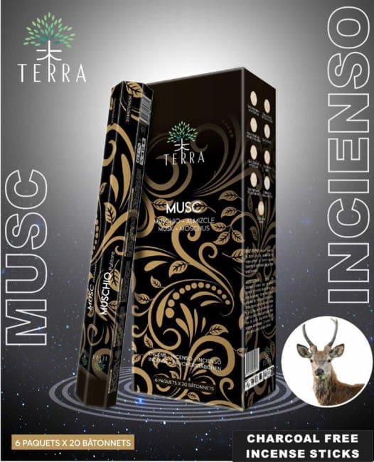Encens Terra musc hexa sans charbon chez Arabesk|fr