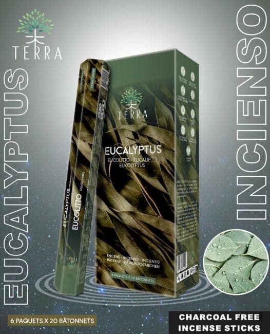 Encens Terra eucalyptus hexa sans charbon