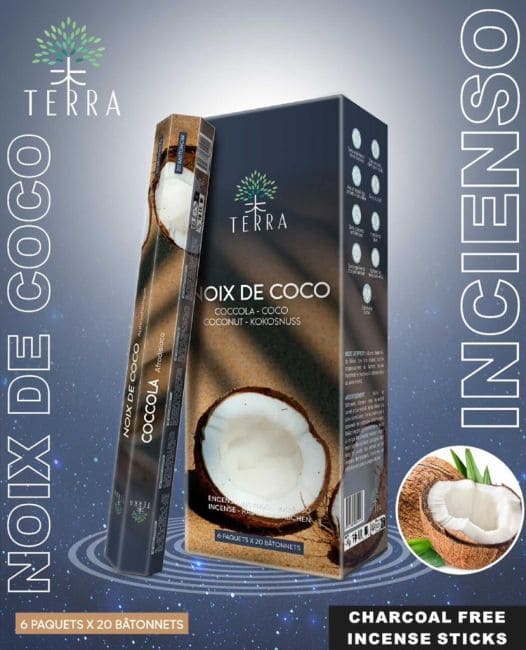 Encens Terra Noix de Coco hexa sans charbon chez Arabesk|fr