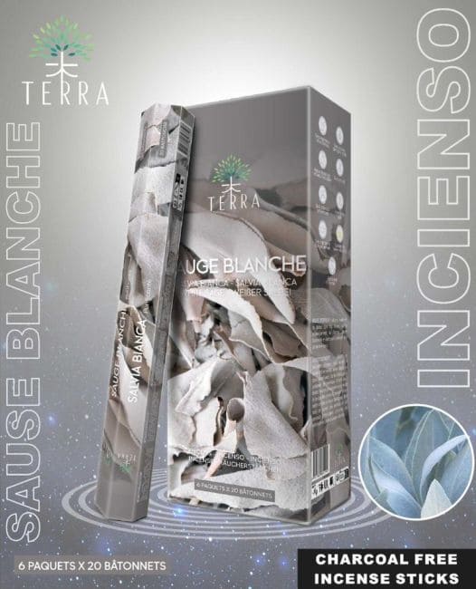 Encens Terra Sauge Blanche hexa sans charbon chez Arabesk|fr