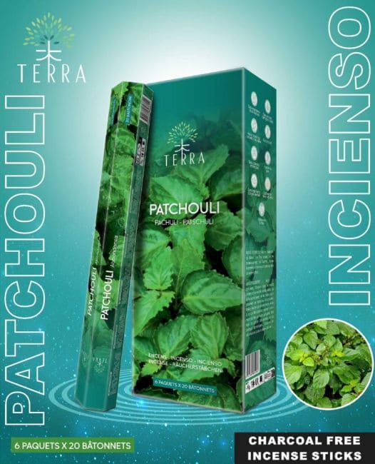 Encens Terra patchouli hexa sans charbon 30grs chez Arabesk|fr