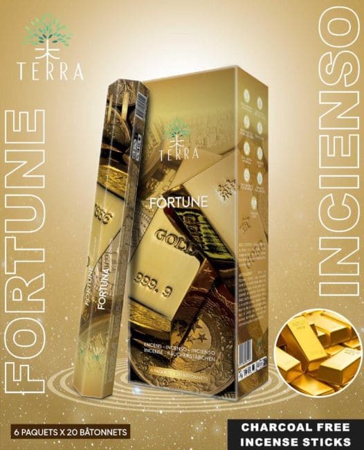 Encens Terra fortune hexa sans charbon 30grs chez Arabesk|fr