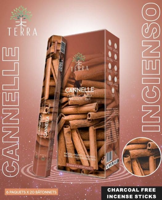 Encens Terra cannelle hexa sans charbon 30grs