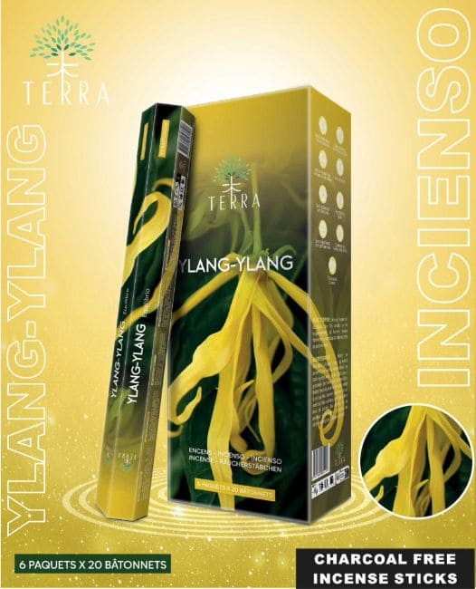 Encens Terra Ylang-Ylang hexa sans charbon 30grs chez Arabesk|fr