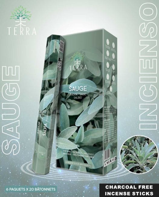 Encens Terra sauge hexa sans charbon 30grs