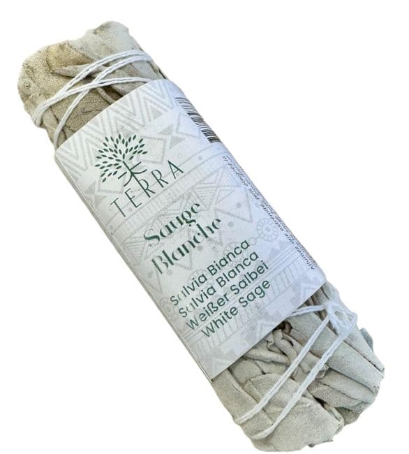 Sauge blanche Californie fagot 25-30g 10cm chez Arabesk