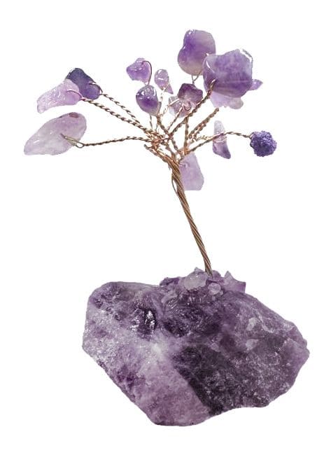 Lebensbaum Amethyst auf Druse 8cm