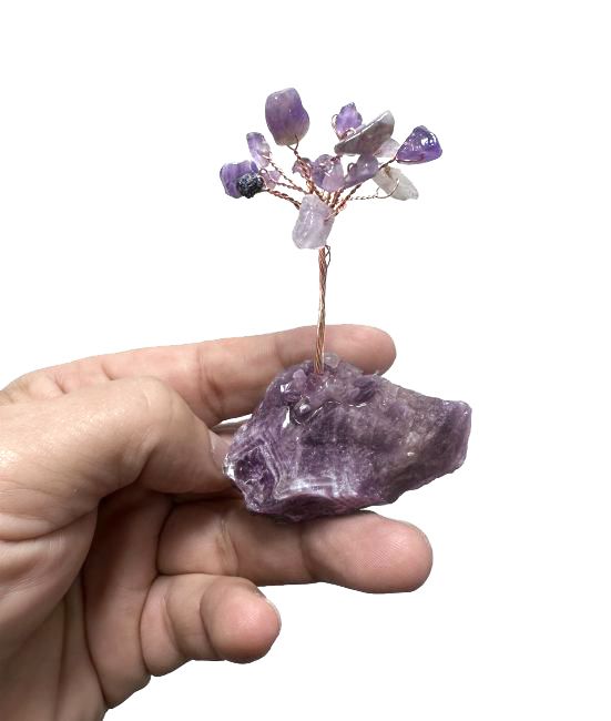 Lebensbaum Amethyst auf Druse 8cm