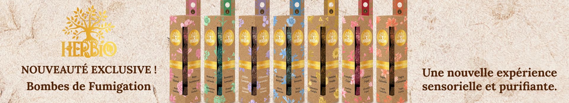 Exclusivités Arabesk - 5