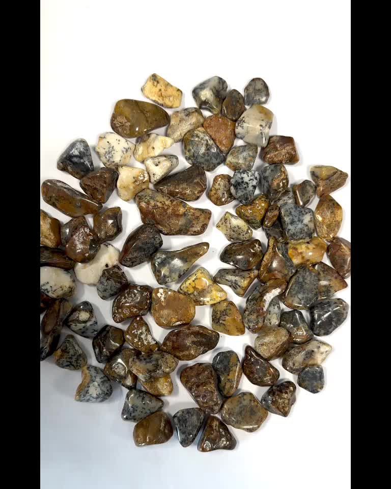 Opale Dentrite A pierres roulées 1-2cm 250g